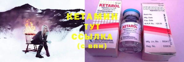 сатива Горняк