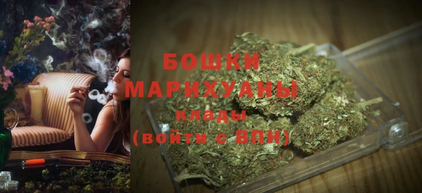 молекула духа Горно-Алтайск