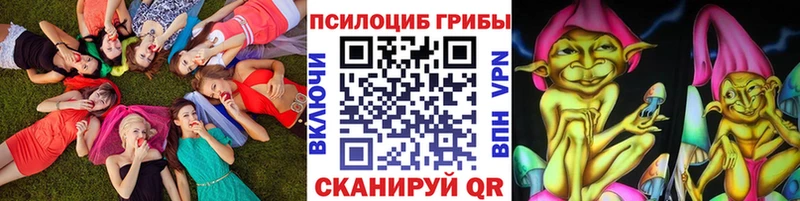 Псилоцибиновые грибы мицелий  МЕГА как войти  Мглин 